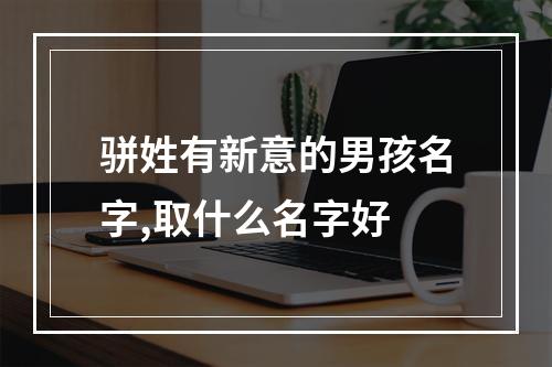骈姓有新意的男孩名字,取什么名字好