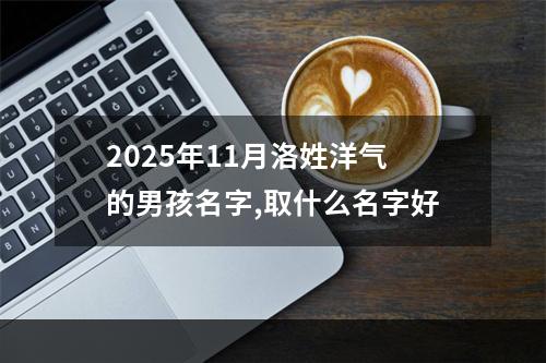 2025年11月洛姓洋气的男孩名字,取什么名字好
