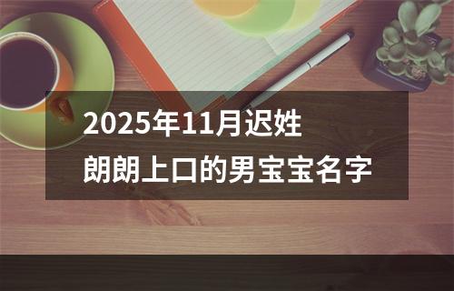 2025年11月迟姓朗朗上口的男宝宝名字