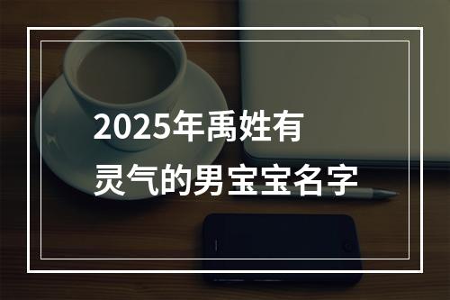 2025年禹姓有灵气的男宝宝名字