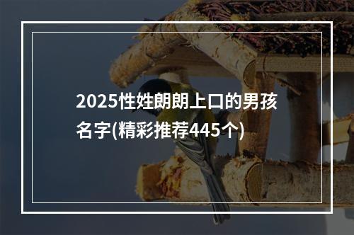 2025性姓朗朗上口的男孩名字(精彩推荐445个)