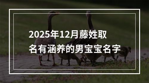 2025年12月藤姓取名有涵养的男宝宝名字