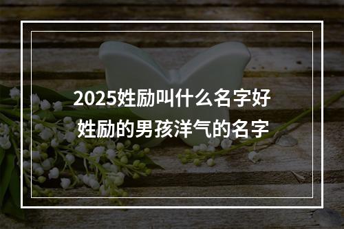2025姓励叫什么名字好 姓励的男孩洋气的名字