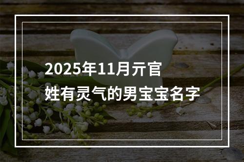 2025年11月亓官姓有灵气的男宝宝名字
