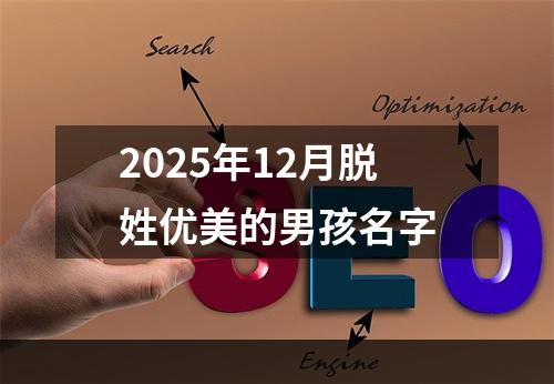 2025年12月脱姓优美的男孩名字