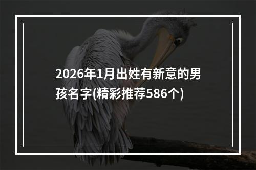 2026年1月出姓有新意的男孩名字(精彩推荐586个)