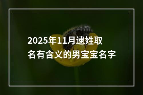 2025年11月逮姓取名有含义的男宝宝名字