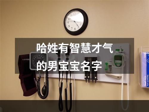 哈姓有智慧才气的男宝宝名字