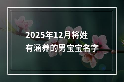2025年12月将姓有涵养的男宝宝名字