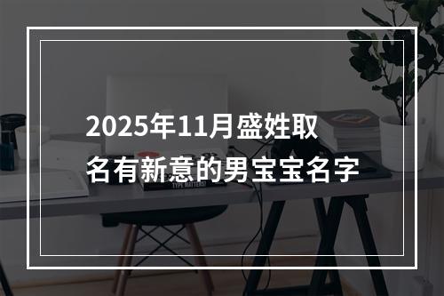2025年11月盛姓取名有新意的男宝宝名字