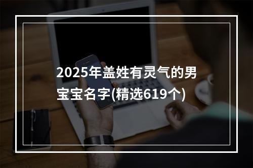 2025年盖姓有灵气的男宝宝名字(精选619个)