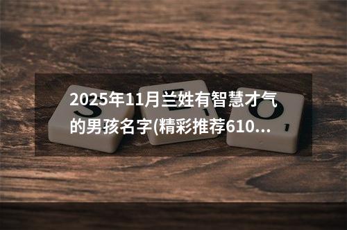 2025年11月兰姓有智慧才气的男孩名字(精彩推荐610个)