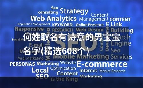 何姓取名有诗意的男宝宝名字(精选608个)