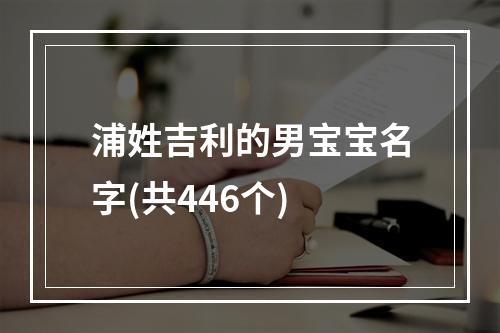 浦姓吉利的男宝宝名字(共446个)