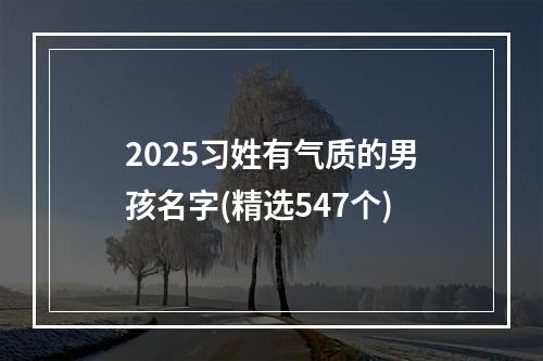 2025习姓有气质的男孩名字(精选547个)