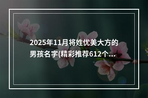 2025年11月将姓优美大方的男孩名字(精彩推荐612个)