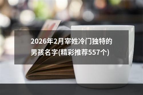 2026年2月宰姓冷门独特的男孩名字(精彩推荐557个)