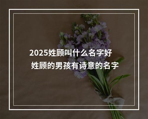 2025姓顾叫什么名字好 姓顾的男孩有诗意的名字