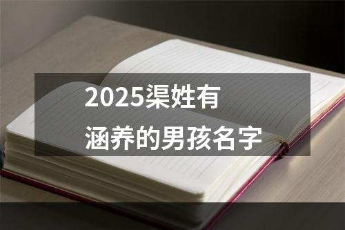 2025渠姓有涵养的男孩名字