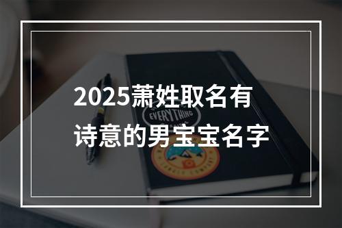 2025萧姓取名有诗意的男宝宝名字