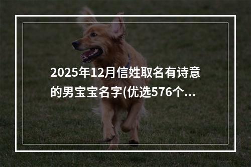 2025年12月信姓取名有诗意的男宝宝名字(优选576个)