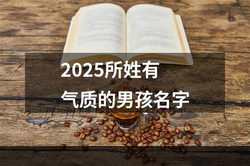 2025所姓有气质的男孩名字
