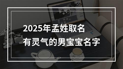 2025年孟姓取名有灵气的男宝宝名字