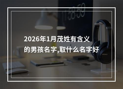 2026年1月茂姓有含义的男孩名字,取什么名字好
