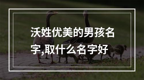 沃姓优美的男孩名字,取什么名字好