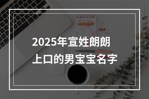 2025年宣姓朗朗上口的男宝宝名字