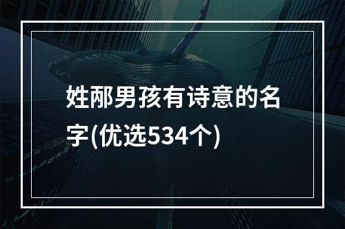 姓邴男孩有诗意的名字(优选534个)