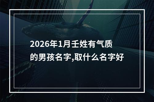 2026年1月壬姓有气质的男孩名字,取什么名字好