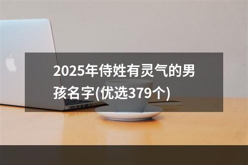 2025年侍姓有灵气的男孩名字(优选379个)