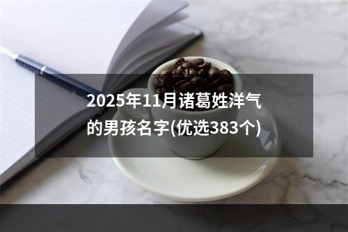 2025年11月诸葛姓洋气的男孩名字(优选383个)