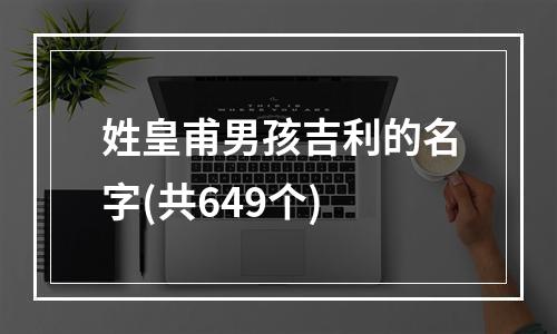 姓皇甫男孩吉利的名字(共649个)