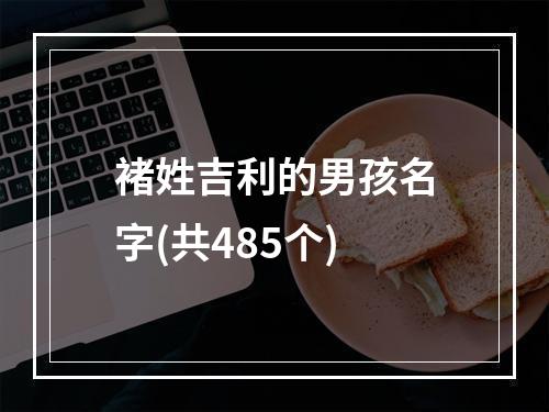 褚姓吉利的男孩名字(共485个)