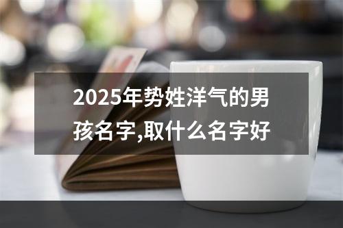 2025年势姓洋气的男孩名字,取什么名字好