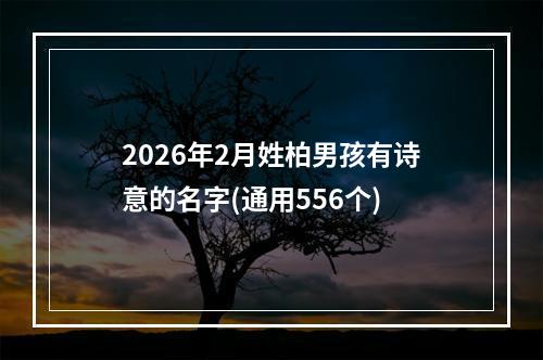 2026年2月姓柏男孩有诗意的名字(通用556个)