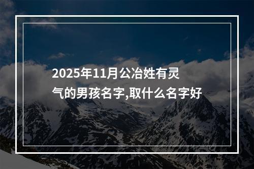 2025年11月公冶姓有灵气的男孩名字,取什么名字好