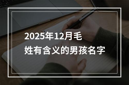 2025年12月毛姓有含义的男孩名字