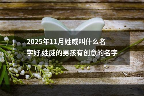 2025年11月姓威叫什么名字好 姓威的男孩有创意的名字