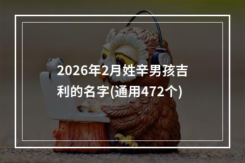 2026年2月姓辛男孩吉利的名字(通用472个)