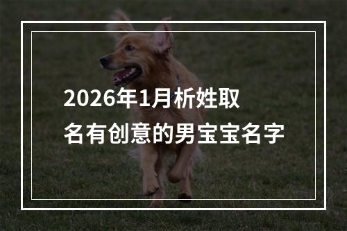 2026年1月析姓取名有创意的男宝宝名字