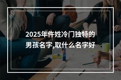 2025年仵姓冷门独特的男孩名字,取什么名字好