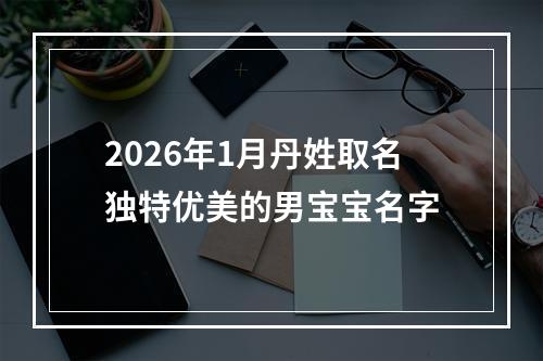 2026年1月丹姓取名独特优美的男宝宝名字