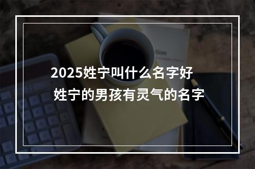2025姓宁叫什么名字好 姓宁的男孩有灵气的名字
