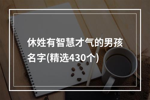 休姓有智慧才气的男孩名字(精选430个)