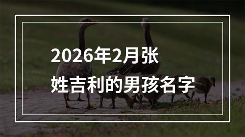 2026年2月张姓吉利的男孩名字