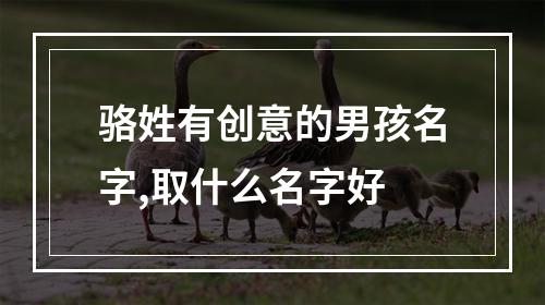 骆姓有创意的男孩名字,取什么名字好