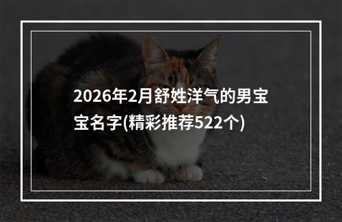 2026年2月舒姓洋气的男宝宝名字(精彩推荐522个)